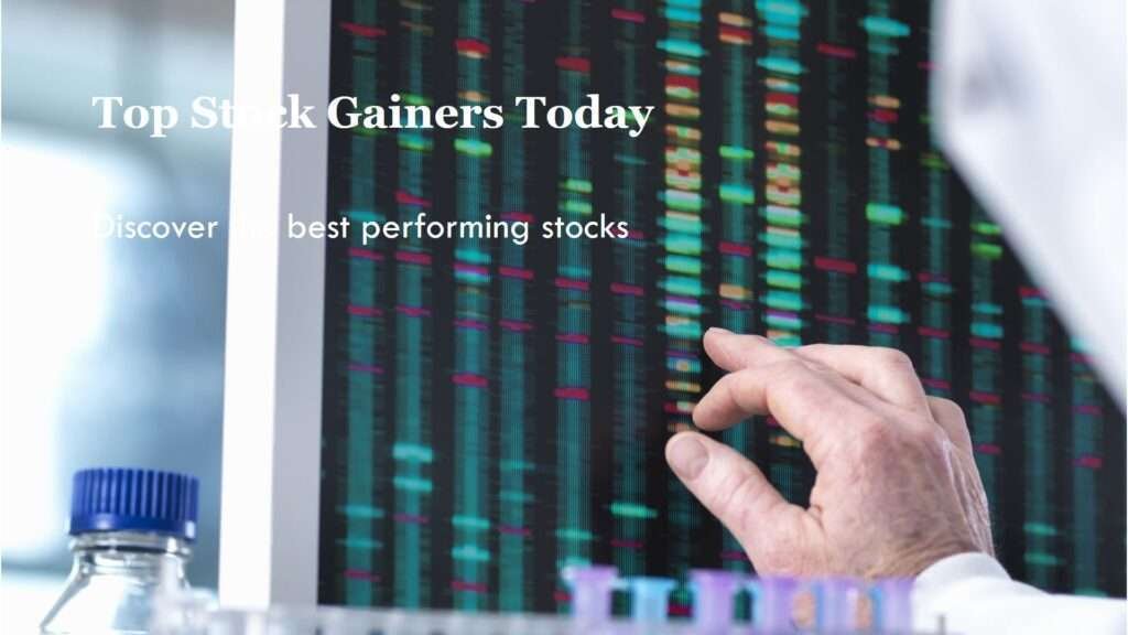 How To Find Top Stock Gainers Today?